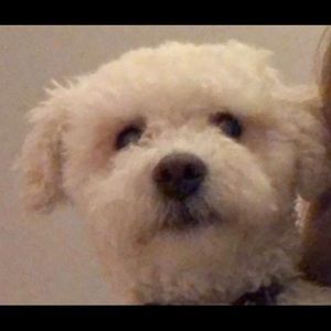 Meet your Posher, Chimezie